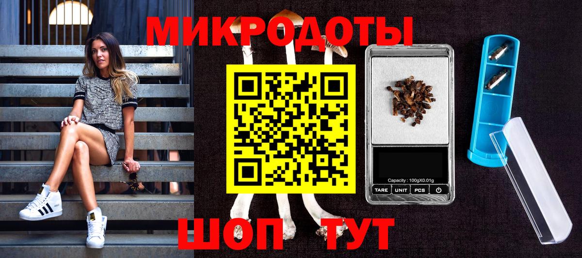 Еманжелинск  Галлюциногенные грибы MAGIC MUSHROOMS  купить  сайты  Вход с VPN  Галлюциногенные грибы Psilocybine cubensis 