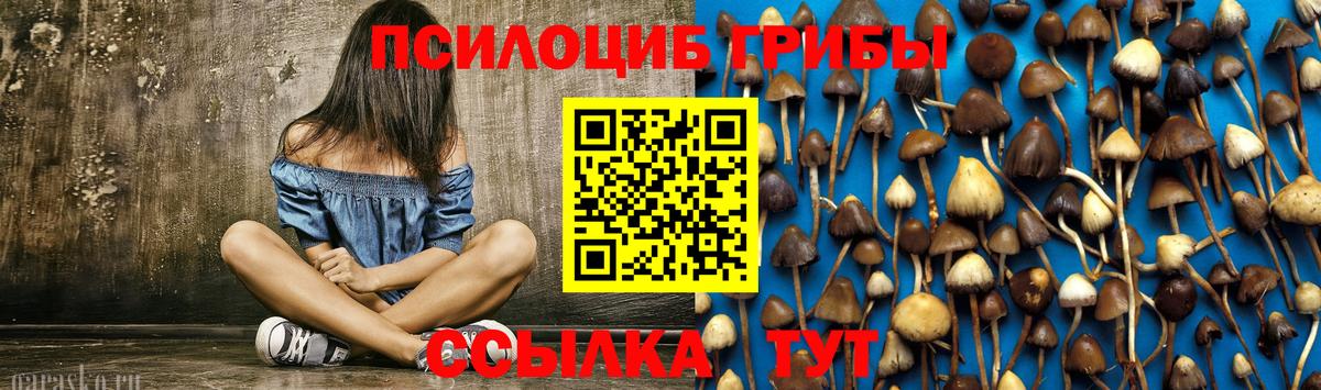 Галлюциногенные грибы Psilocybe Еманжелинск